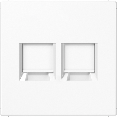 Jung Abdeckung 2-fach f.MJ WE AMP, Radiall LS 1969-2 WE WW Jung Abdeckung 2-fach f.MJ WE AMP, Radiall LS 1969-2 WE WW