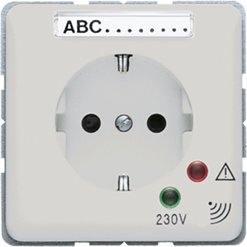 Jung Zentralplatte f. SCHUKO-Steckdose CD 521 KINAUF GNPL