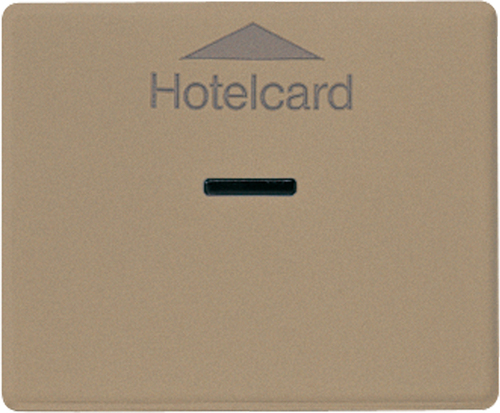 Jung Hotelcard-Schalter SL 590 CARD GB