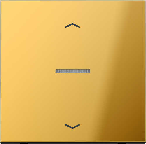 Jung eNet Funk-Steuertaste Symbol Pfeil, gold FM GO 1700 P