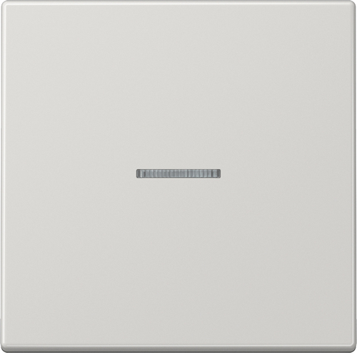 Jung eNet Funk-Steuertaste Standard 1-fach ch FM LS 1700 LG