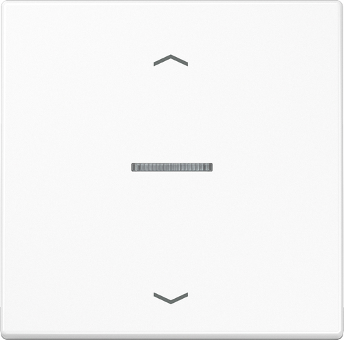 Jung eNet Funk-Steuertaste Symbol Pfeil,alpinws FM LS 1700 P WW