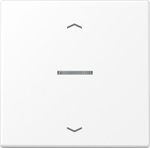 Jung eNet Funk-Steuertaste Symbol Pfeil FM LS 1700 P WWM