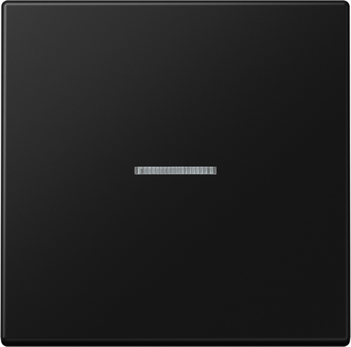 Jung eNet Funk-Steuertaste Standard 1-fach ch FM LS 1700 SWM