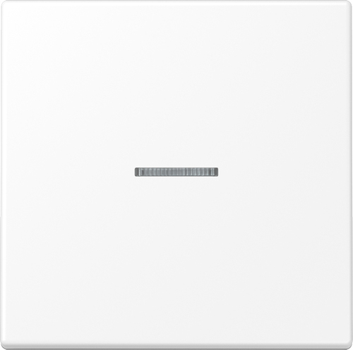 Jung eNet Funk-Steuertaste Standard 1-fach ch FM LS 1700 WWM