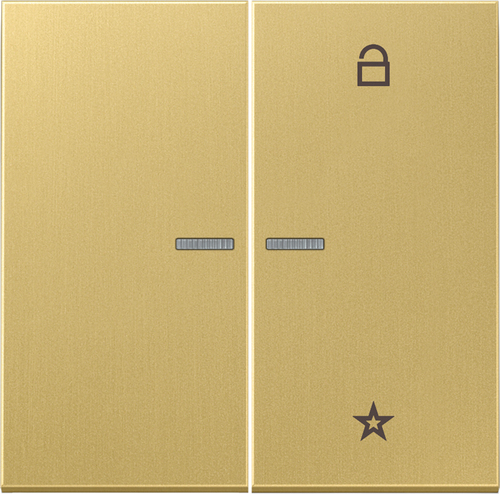 Jung eNet Funk-Steuertaste 2-fach ch, Messing FM ME 1701 C