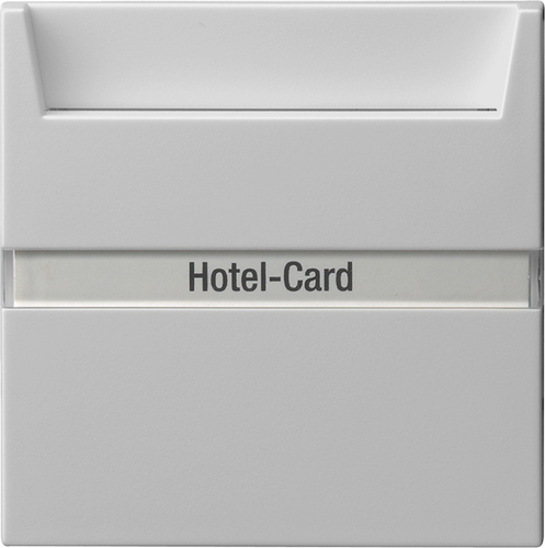 Gira Hotel-Card-Taster Wechsler(bel.) grau 0140015