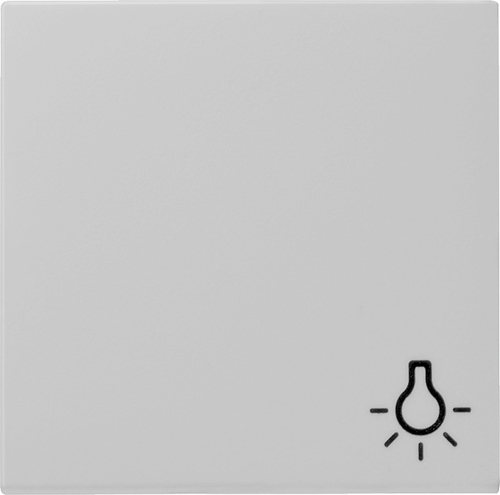 Gira Wippe Symbol Licht grau 0285015