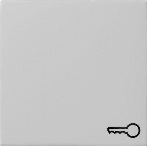 Gira Wippe Symbol Tür grau 0287015
