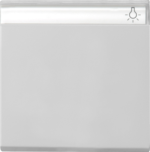 Gira Wippe BSF grau 0299015 Gira Wippe BSF grau 0299015