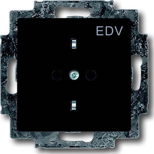 Busch-Jaeger Schuko-Steckdose anthrazit mit Aufdruck EDV 20 EUCKS/DV-81