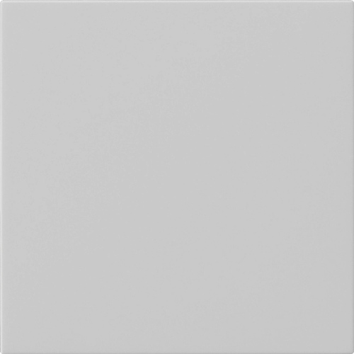 Gira Bedienaufsatz grau 5360015
