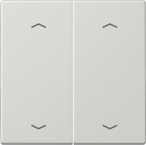 Jung Wippe Symbole lichtgrau für Taster 2-fach LS 995 MP LG Jung Wippe Symbole lichtgrau für Taster 2-fach LS 995 MP LG