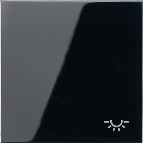 Jung Wippe Symbol LICHT schwarz für Taster LS 990 L SW