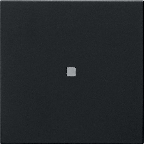 Gira Funk-Bedienaufsatz Schwarz 5495005