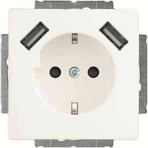 Busch-Jaeger SCHUKO-2x USB Steckdose 20 EUCB2USB-884