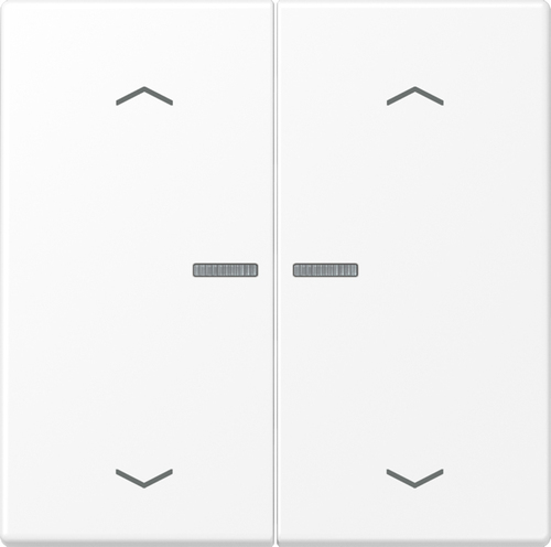 Jung Wippe mit Lichtleiter schneeweiß matt LS 102 KO5P WWM Jung Wippe mit Lichtleiter schneeweiß matt LS 102 KO5P WWM