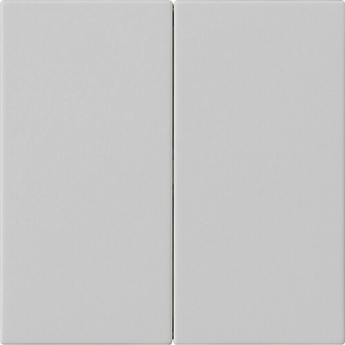Gira Wippe 2-fach Grau 5370015