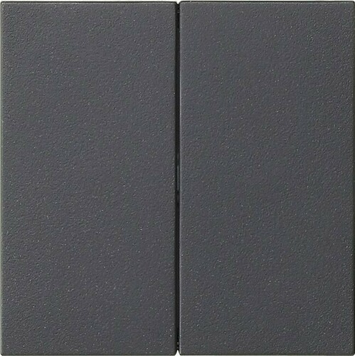 Gira Wippe 2-fach Anthrazit 537028