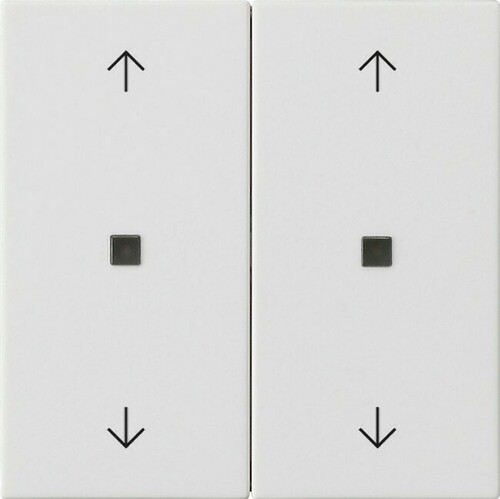 Gira Wippe 2-fach Reinweiß 538627