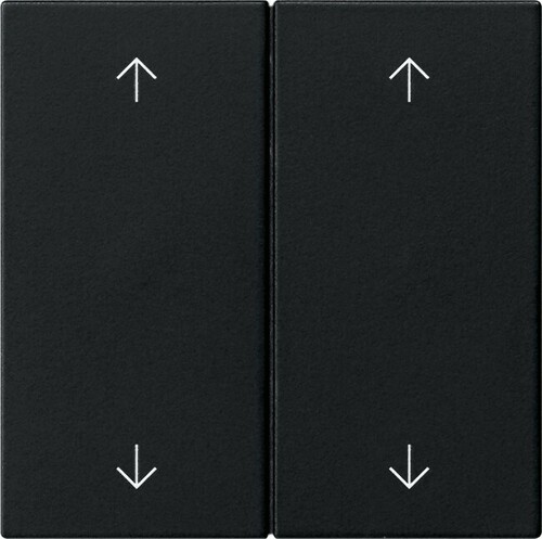 Gira Wippe 2-fach Schwarz 5387005