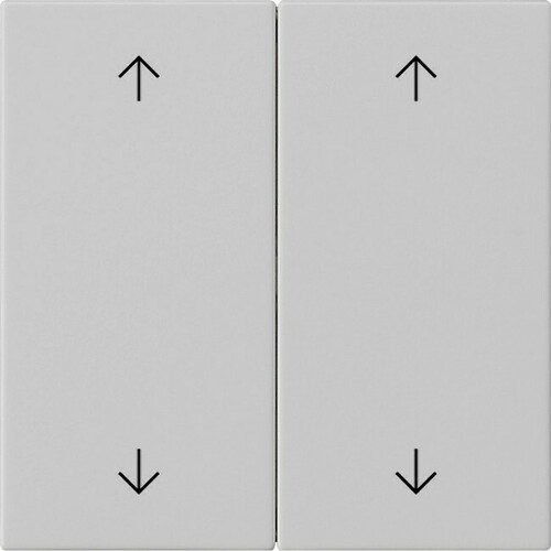 Gira Wippe 2-fach Grau 5387015