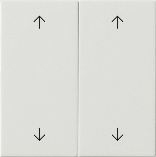Gira Wippe 2-fach Reinweiß 538703