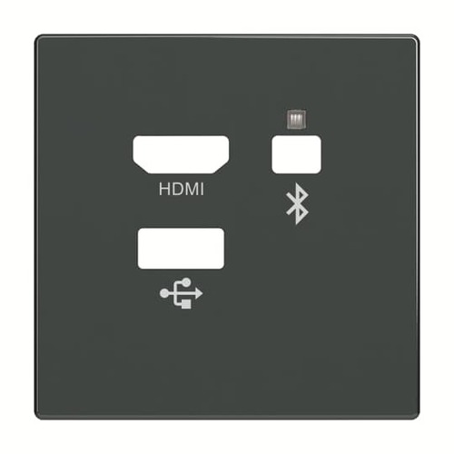 Busch-Jaeger Zentralscheibe Media Connector 8256-81