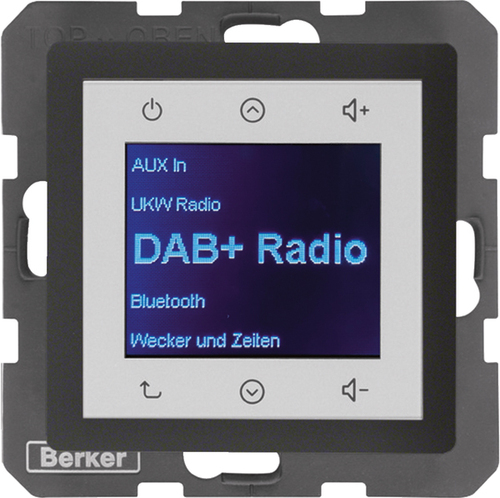 Berker Radio DAB+, Q.x anth. 29846086