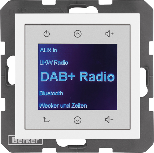 Berker Radio DAB+ S.1/B.x pw. gl. 29848989