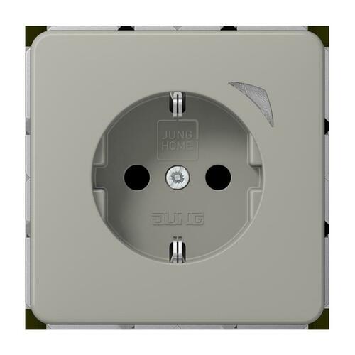 Jung SCHUKO Steckdose 16 A 250V m. Berührungsschutz BT CD 1521 S PT