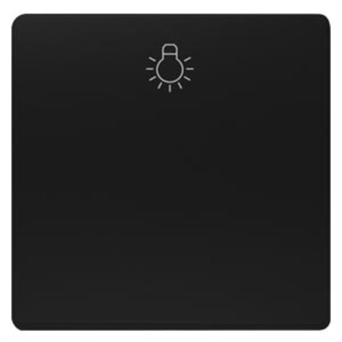 Siemens Dig.Industr. Wippe mit Symbol Licht soft schwarz 5TG6201-0SB20