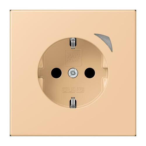 Jung SCHUKO Steckdose BT LC 1521 S 237