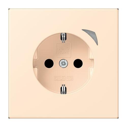 Jung SCHUKO Steckdose BT LC 1521 S 238