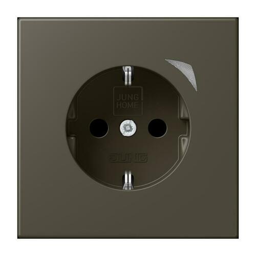 Jung SCHUKO Steckdose BT LC 1521 S 241