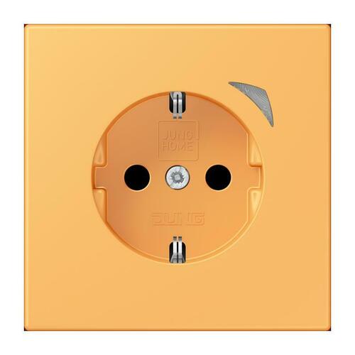 Jung SCHUKO Steckdose BT LC 1521 S 254