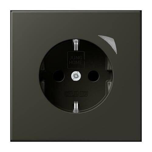 Jung SCHUKO Steckdose BT LC 1521 S 259