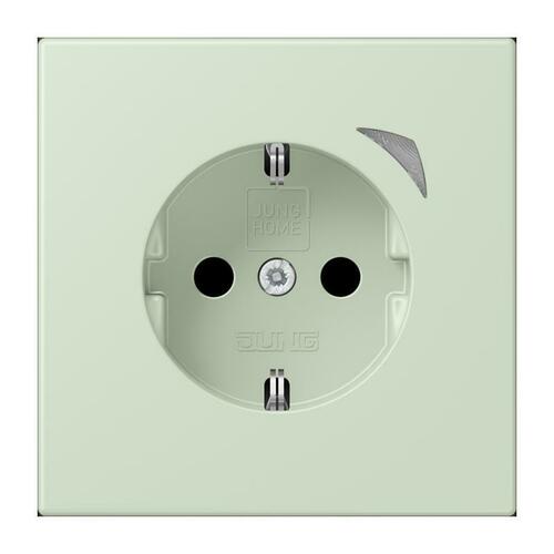 Jung SCHUKO Steckdose BT LC 1521 SE 218
