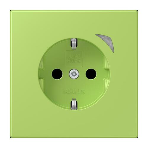 Jung SCHUKO Steckdose vert clair (32052) BT LC 1521 SE 221