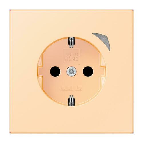 Jung SCHUKO Steckdose ocre (32060) BT LC 1521 SE 223