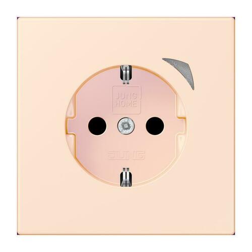 Jung SCHUKO Steckdose orange pale (32082) BT LC 1521 SE 226