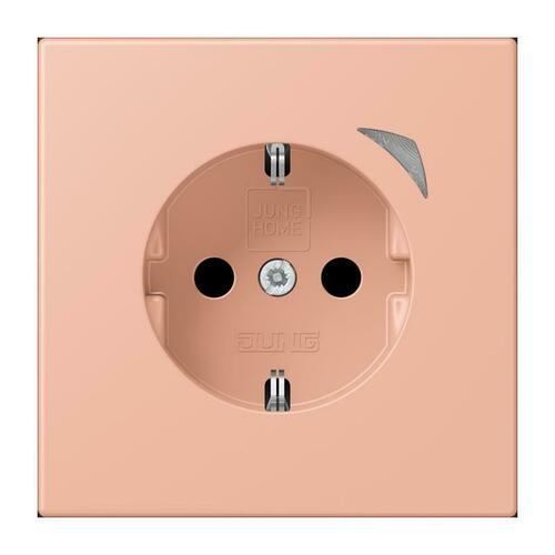 Jung SCHUKO Steckdose rose clair (32102) BT LC 1521 SE 231