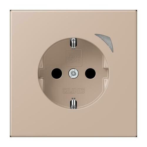 Jung SCHUKO Steckdose BT LC 1521 SE 240