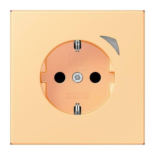 Jung SCHUKO Steckdose BT LC 1521 SE 258