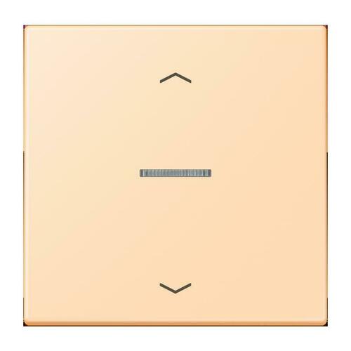 Jung Taster 1-fach ch Duocre BT LC 17101 P 223