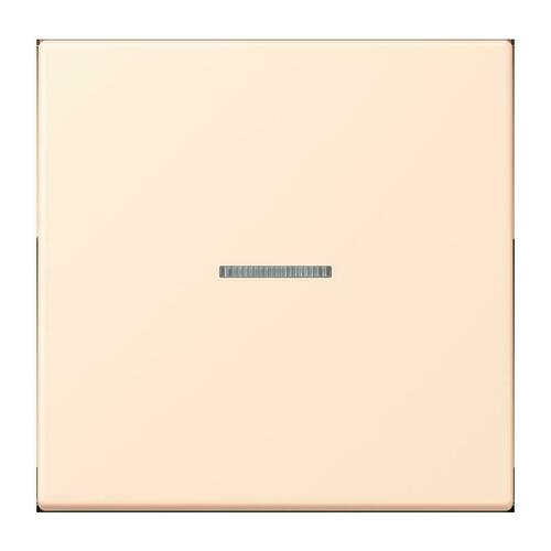 Jung Taster 1-fach ch terre sienne pale BT LC 17101 238