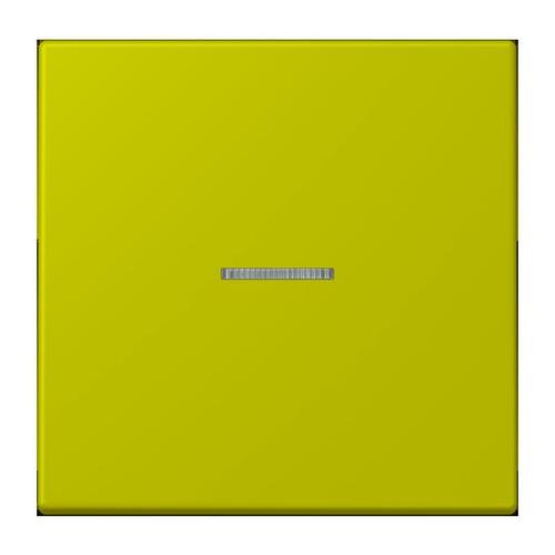 Jung Taster 1-fach ch vert olive vif BT LC 17101 249