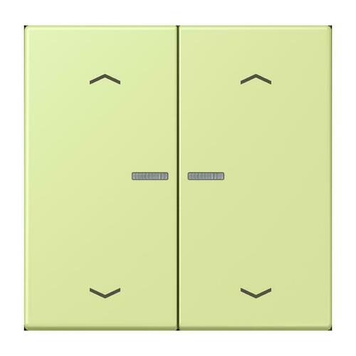 Jung Taster mit Pfeilsymbolen vert jaune clair BT LC 17102 P 222