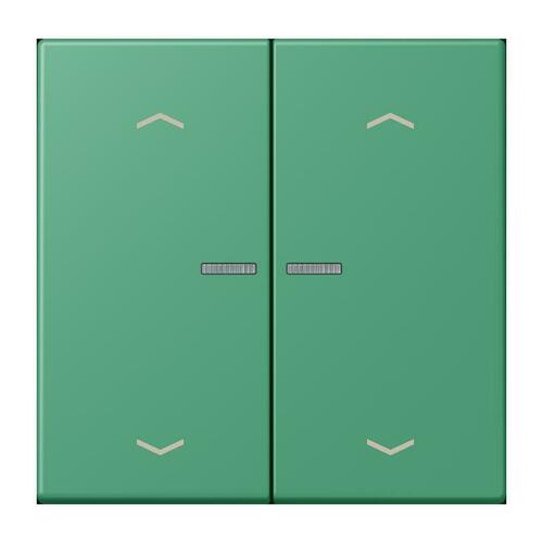 Jung Taster mit Pfeilsymbolen vert 59 BT LC 17102 P 250
