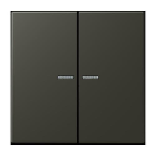 Jung Taster 2-fach ch ombre naturelle 59 BT LC 17102 259